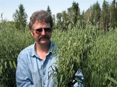 Exceptionally tall AC Mustang oats in a very fertile spot