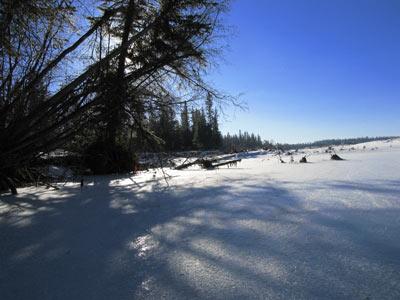 South end of the skating ice