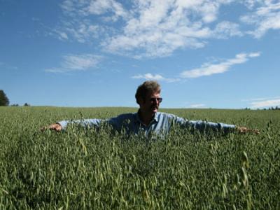 Tall AC Mustang oats